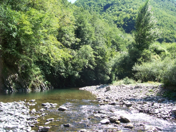  Image name: Fiume22.jpg 
 width: 601 pixel 
 height: 452 pixel 
 Size: 359326 bytes 
 Click to enlarge 